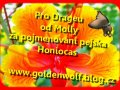 diplomek honiocas.jpg